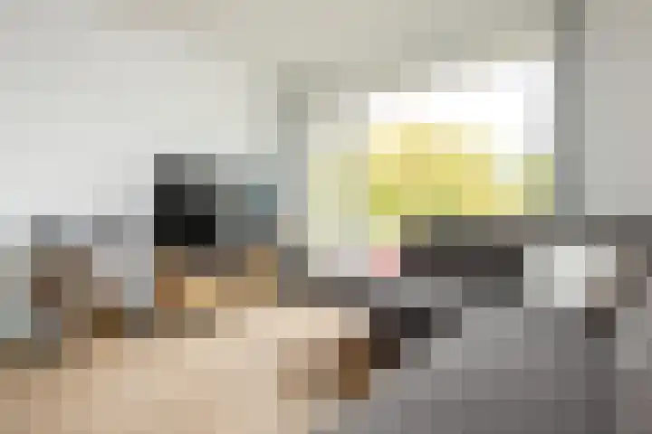 Plesmanlaan 8 II Haarlem thumbnail 5