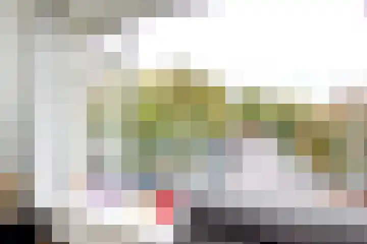 Plesmanlaan 8 II Haarlem thumbnail 6