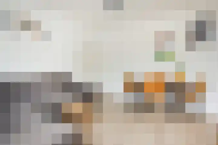 Plesmanlaan 8 II Haarlem thumbnail 9