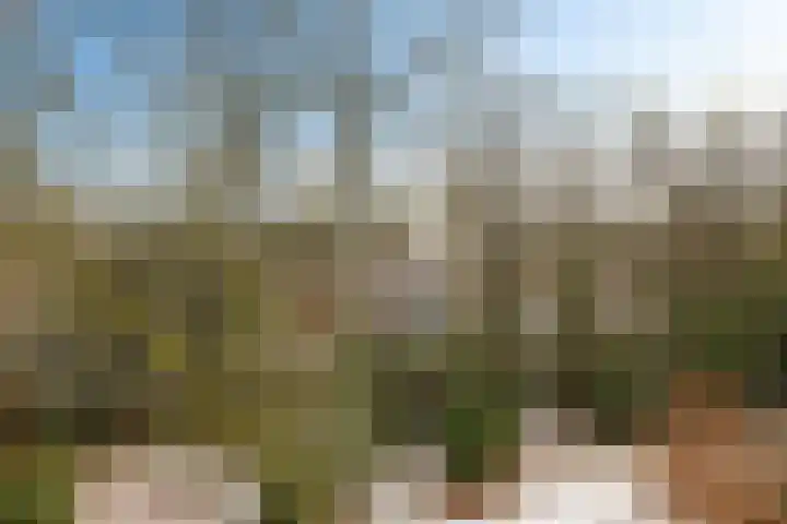 Plesmanstraat 253 Soesterberg thumbnail 24