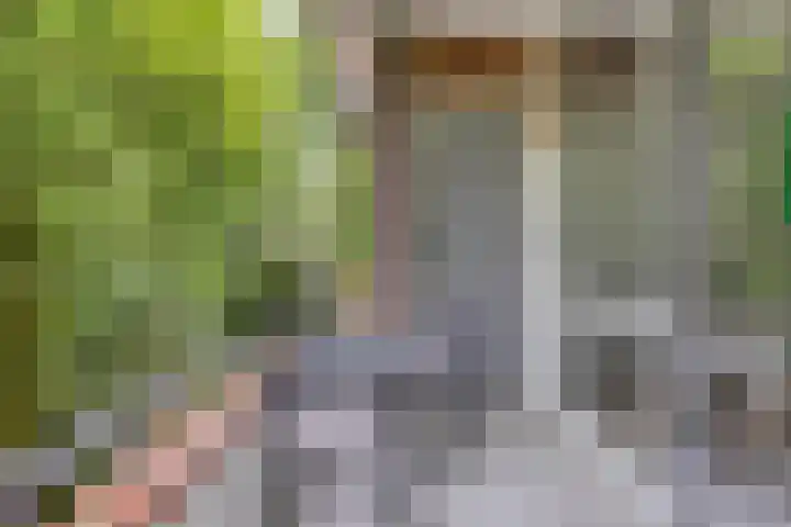 Plesmanstraat 337 Soesterberg thumbnail 21