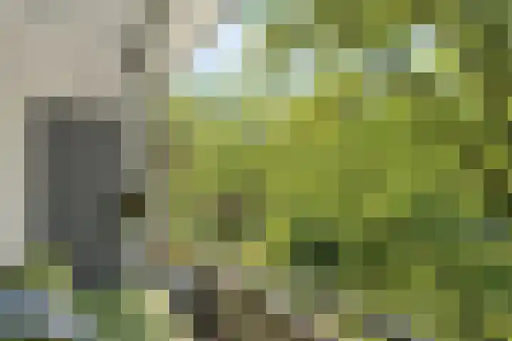 Plesmanstraat 343 Soesterberg thumbnail 27