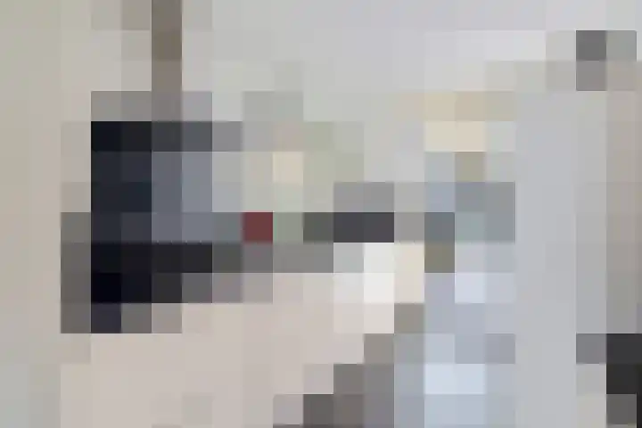 Pletering 35 Oostwoud thumbnail 13
