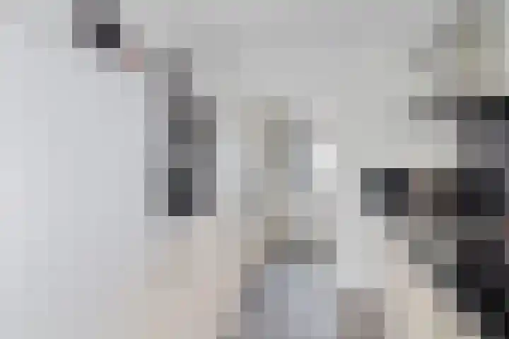 Pletering 35 Oostwoud thumbnail 14