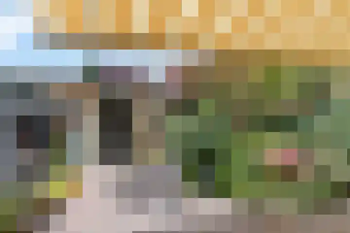 Pletering 35 Oostwoud thumbnail 29