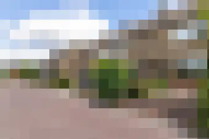 Pletering 35 Oostwoud foto 3