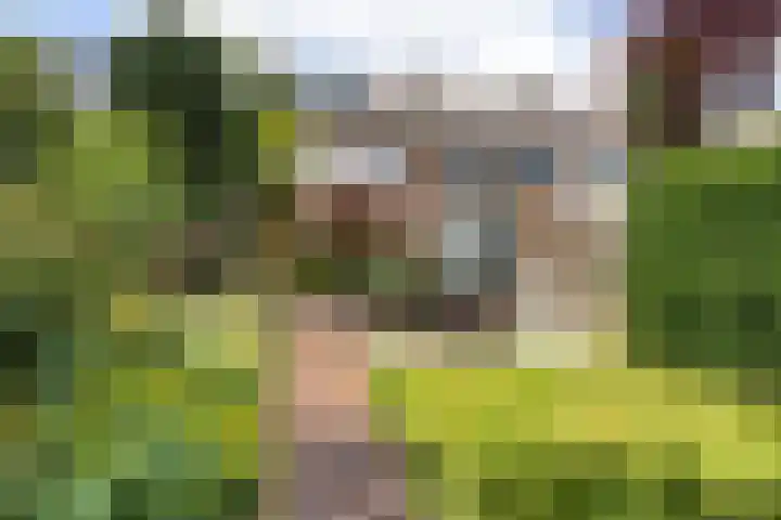 Pletering 35 Oostwoud thumbnail 31