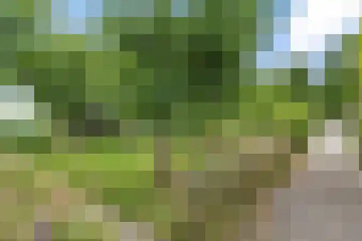 Pletering 35 Oostwoud thumbnail 33