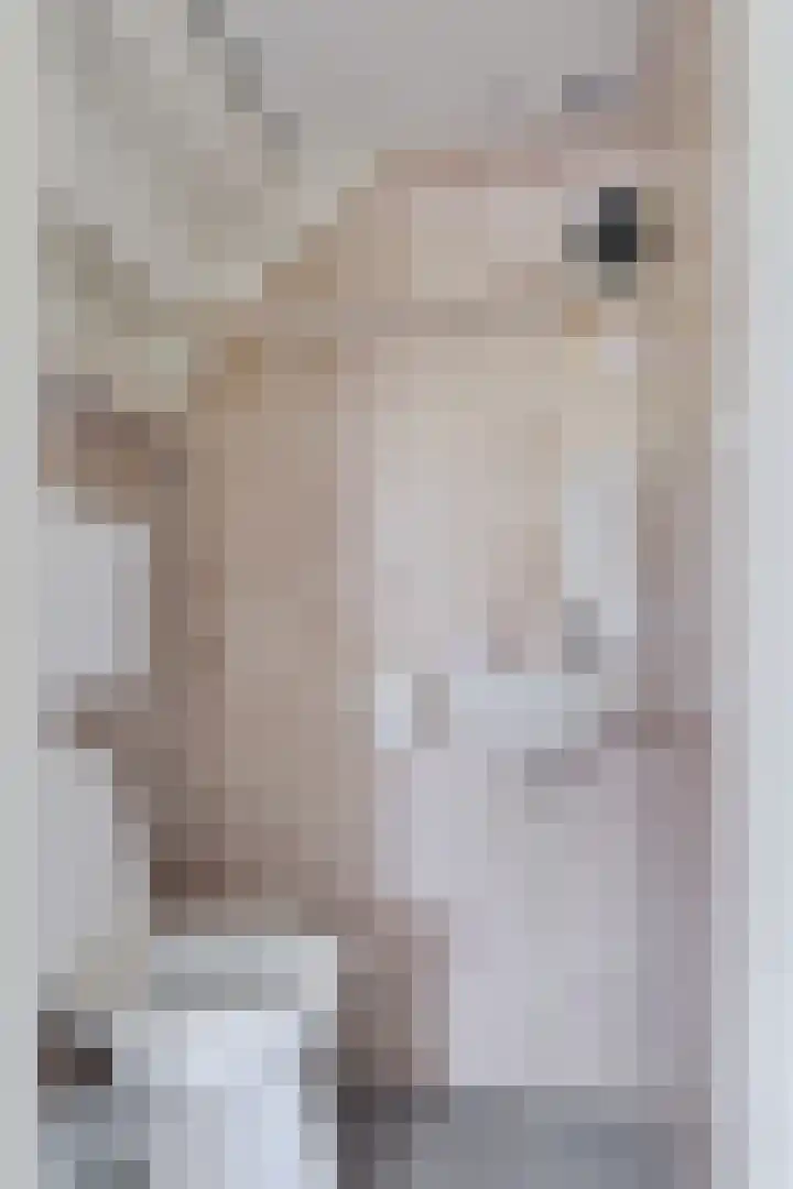 Pletering 35 Oostwoud thumbnail 5