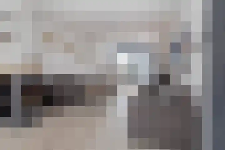 Pletsstraat 34 Bunde thumbnail 5