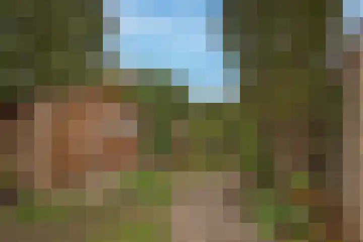 Plevierstraat 11 Delden thumbnail 31