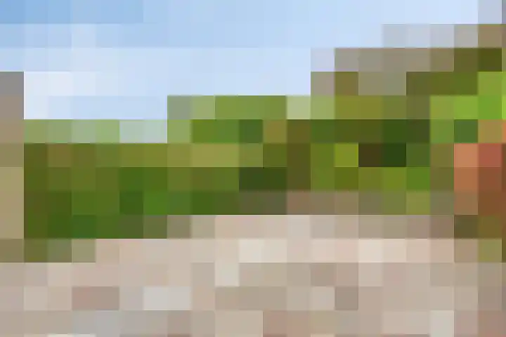 Plevierstraat 32 Schagen thumbnail 28