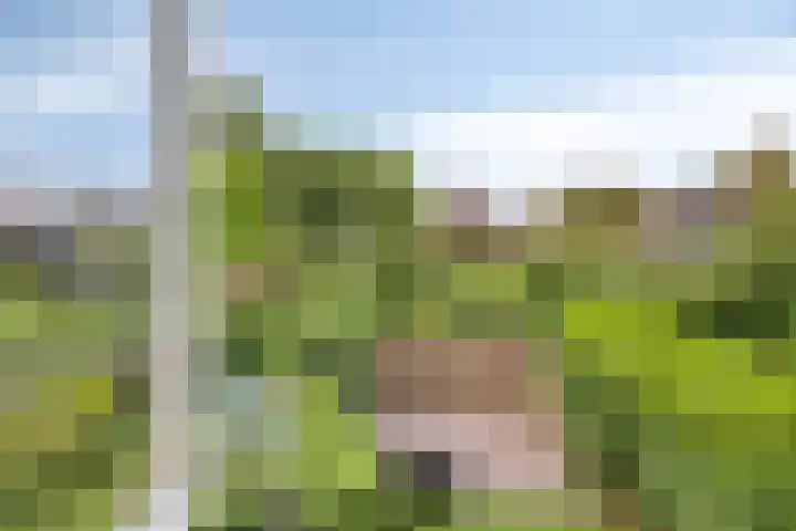 Plevierstraat 38 Schagen thumbnail 34
