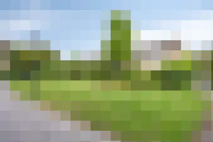 Plevierstraat 38 Schagen thumbnail 39