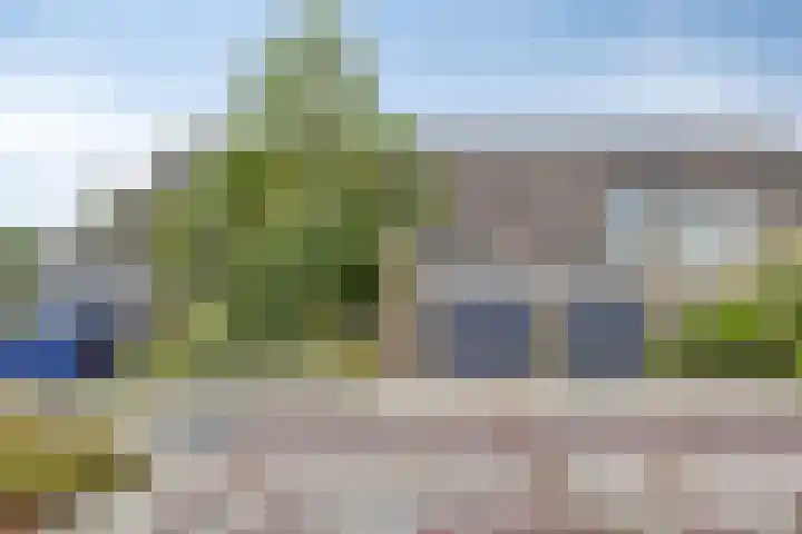 Plevierstraat 38 Schagen thumbnail 6
