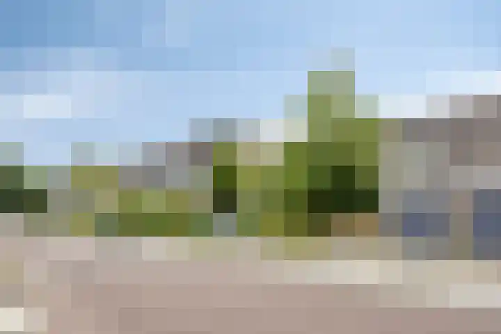 Plevierstraat 38 Schagen thumbnail 8