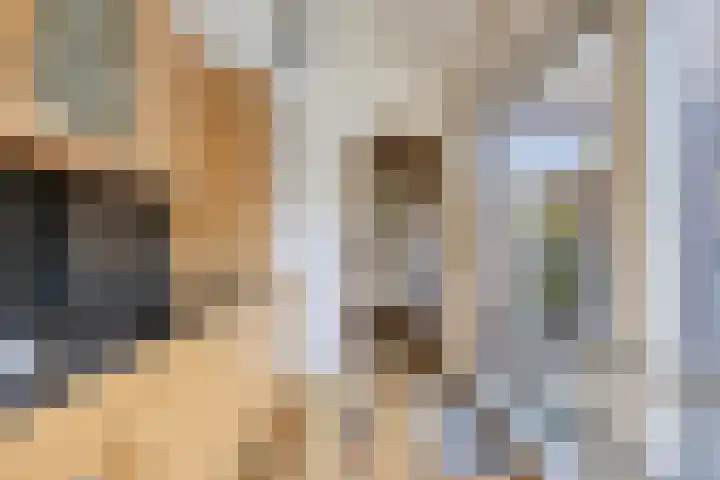 Plevierstraat 38 Strijen thumbnail 11