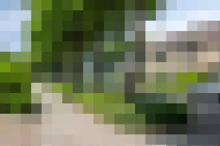 Plevierstraat 38 Strijen foto 2