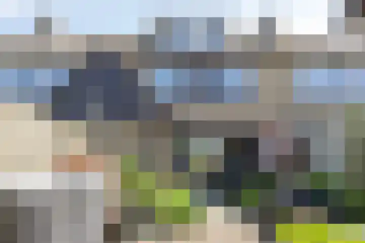 Plevierstraat 38 Strijen thumbnail 25