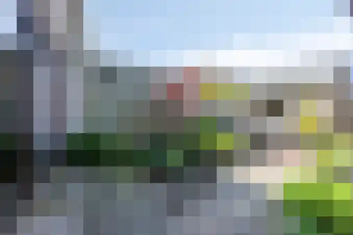 Plevierstraat 38 Strijen thumbnail 26