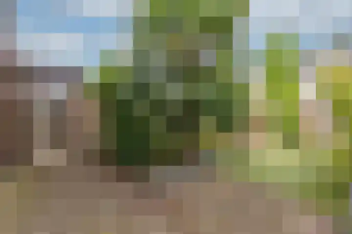 Plevierstraat 38 Velp thumbnail 21