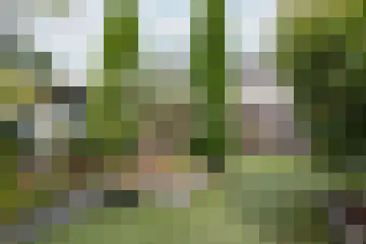 Plevierstraat 38 Velp thumbnail 22