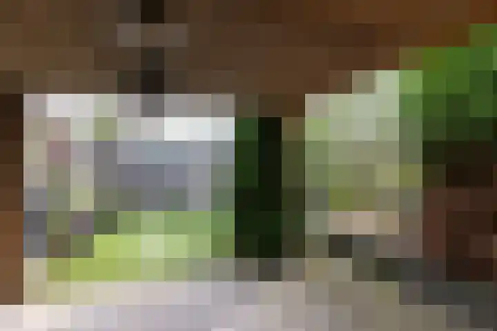 Plevierstraat 38 Velp thumbnail 23