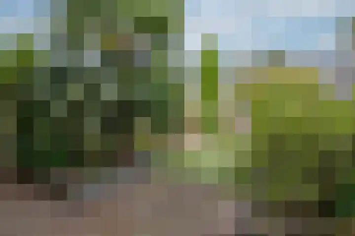 Plevierstraat 38 Velp thumbnail 4