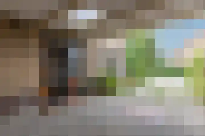 Plevierstraat 38 Velp thumbnail 6