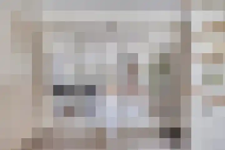 Ploeg 16 Berghem thumbnail 10