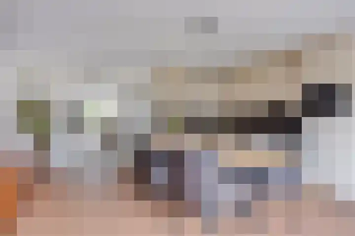 Ploeg 16 Berghem thumbnail 11