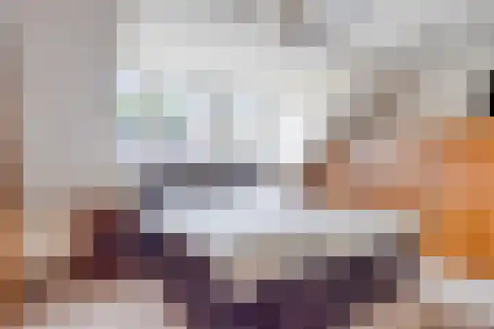 Ploeg 16 Berghem thumbnail 15