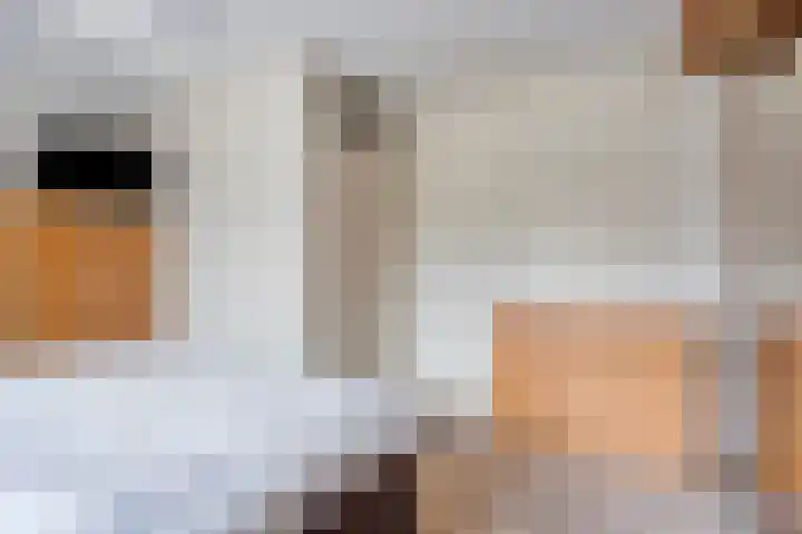 Ploeg 16 Berghem thumbnail 16