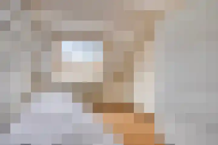 Ploeg 16 Berghem thumbnail 17