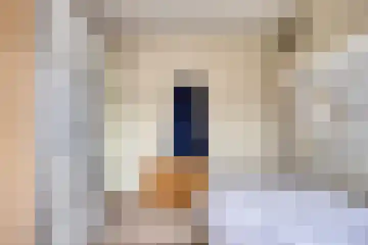 Ploeg 16 Berghem thumbnail 18