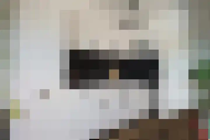 Ploeg 16 Berghem thumbnail 20