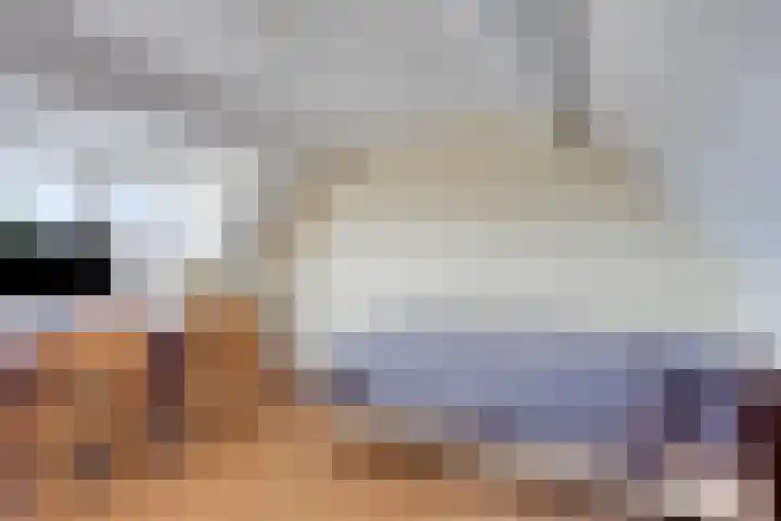 Ploeg 16 Berghem thumbnail 23