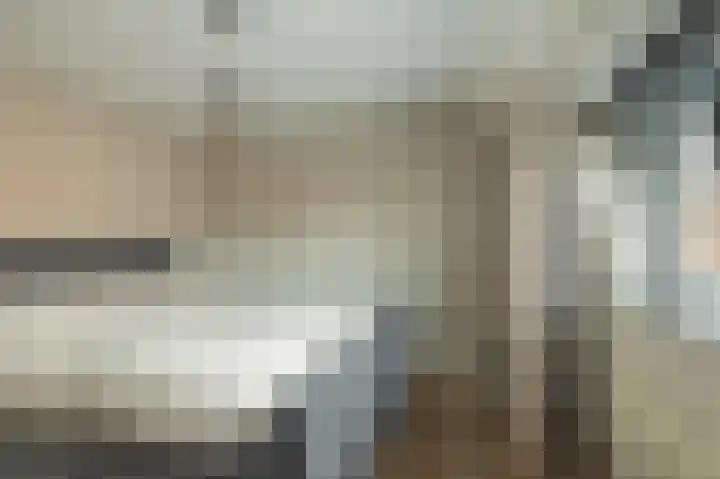 Ploeg 16 Berghem thumbnail 24