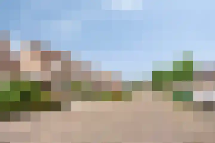 Ploeg 16 Berghem thumbnail 26