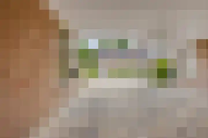 Ploeg 16 Berghem thumbnail 27