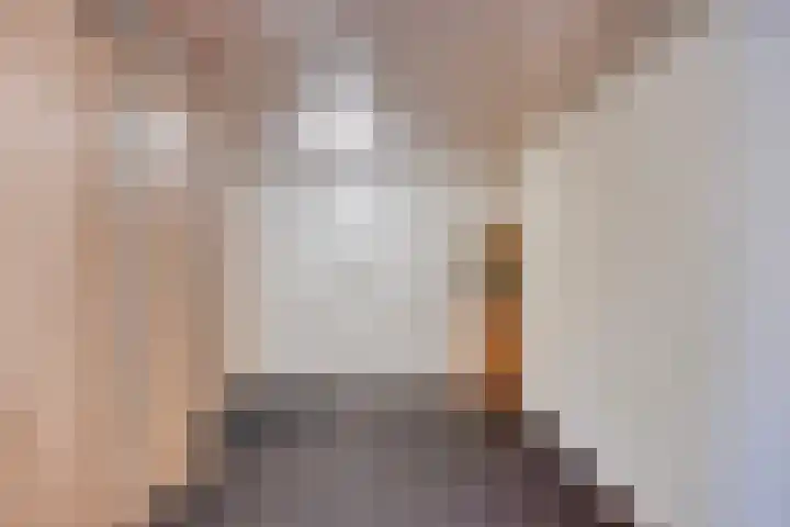 Ploeg 16 Berghem thumbnail 28