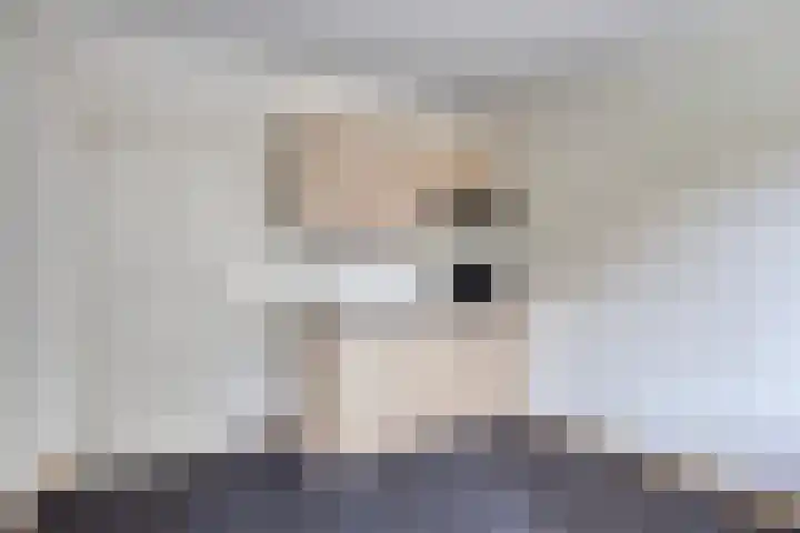 Ploeg 16 Berghem thumbnail 31