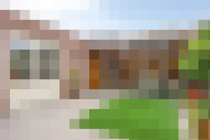 Ploeg 16 Berghem thumbnail 33