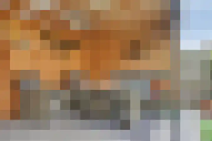 Ploeg 16 Berghem thumbnail 34