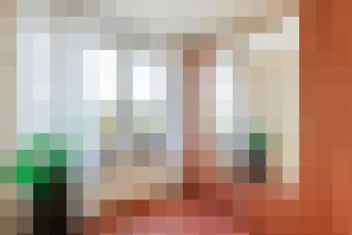 Ploeg 16 Berghem thumbnail 4
