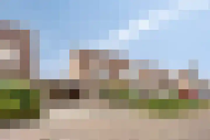 Ploeg 16 Berghem thumbnail 4