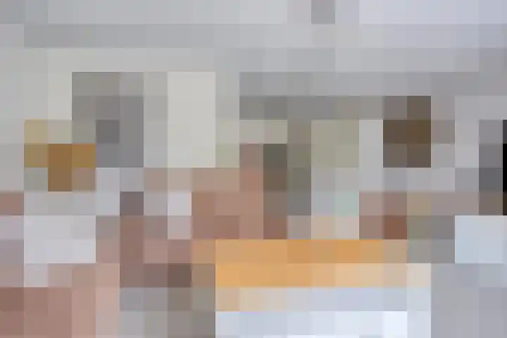 Ploeg 16 Berghem thumbnail 6