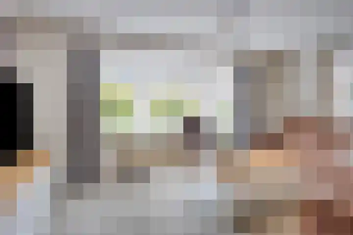 Ploeg 16 Berghem thumbnail 7