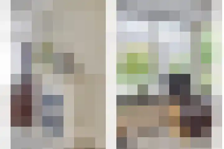 Ploeg 16 Berghem thumbnail 8