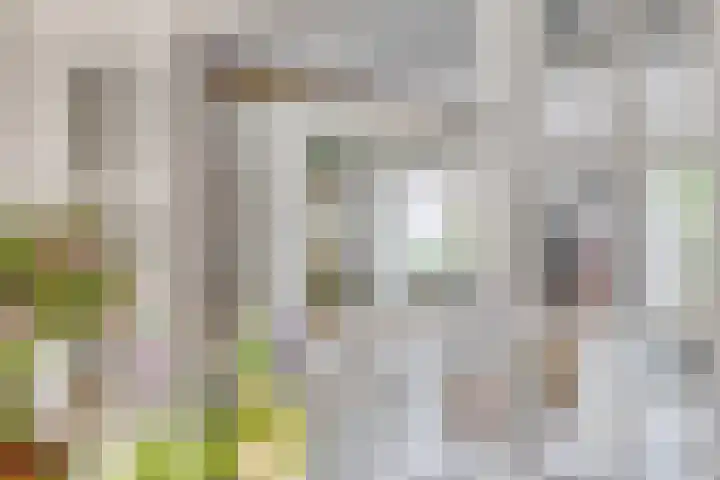 Ploeg 16 Berghem thumbnail 9